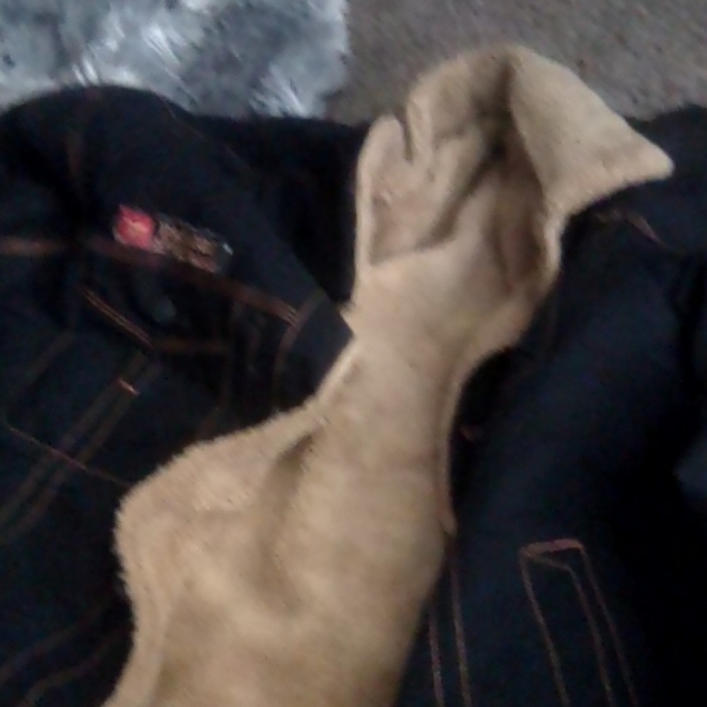 Men's Jean jacket